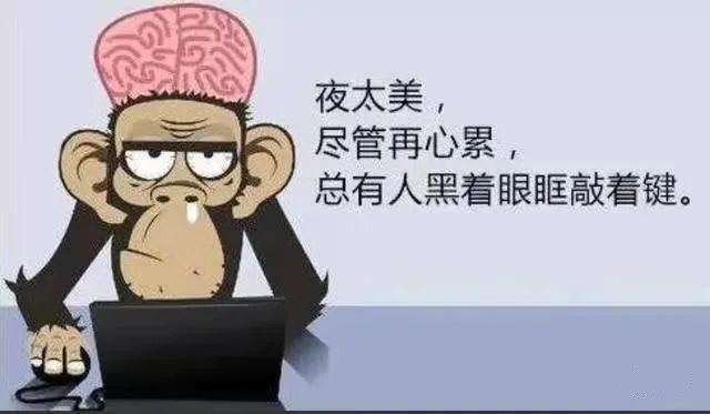 程序員假期怎么過，快來看看你屬于哪一種？